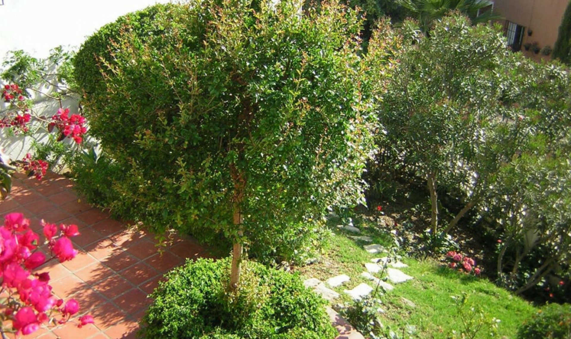 Resale - House -
Chilches