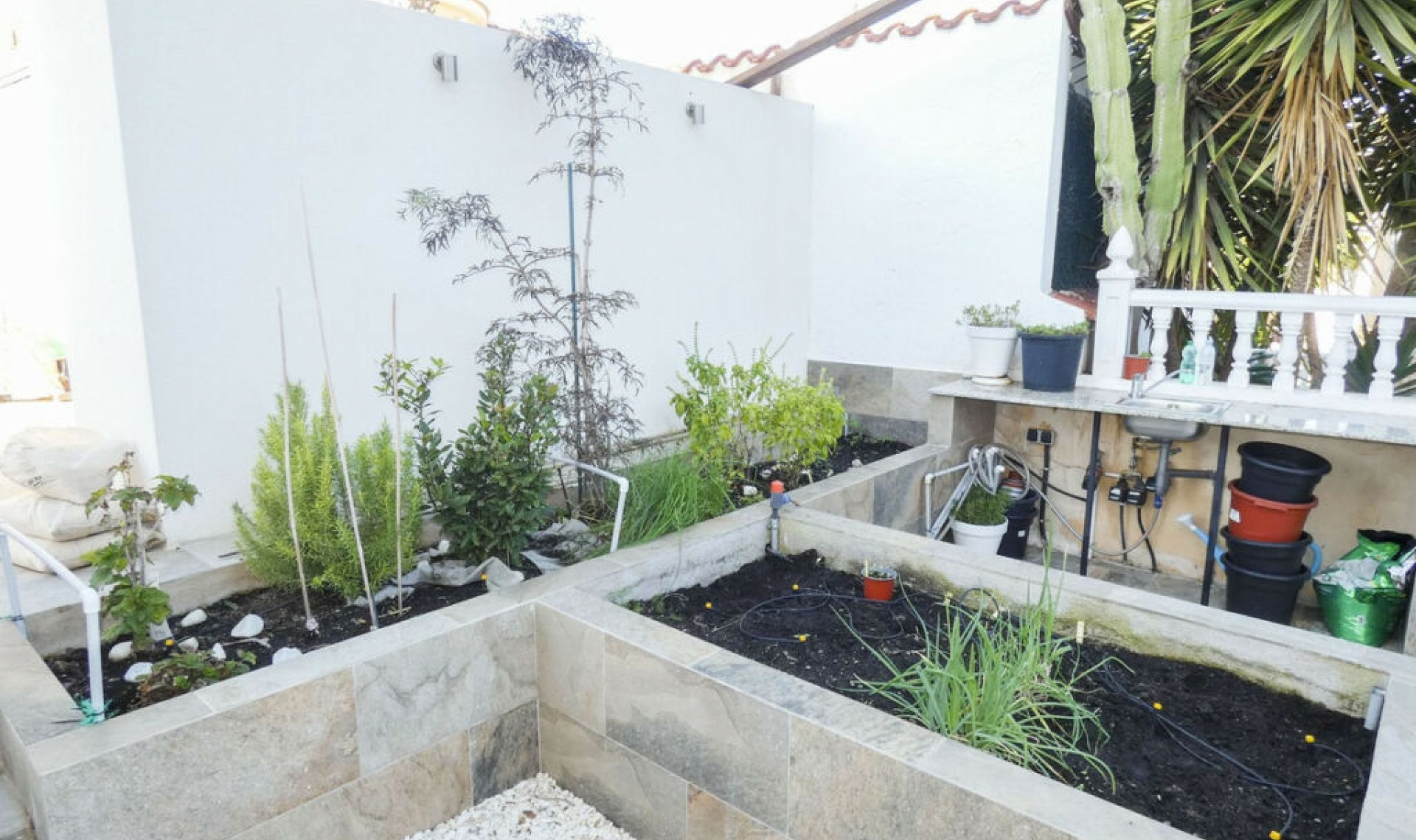 Resale - House -
Ciudad Quesada