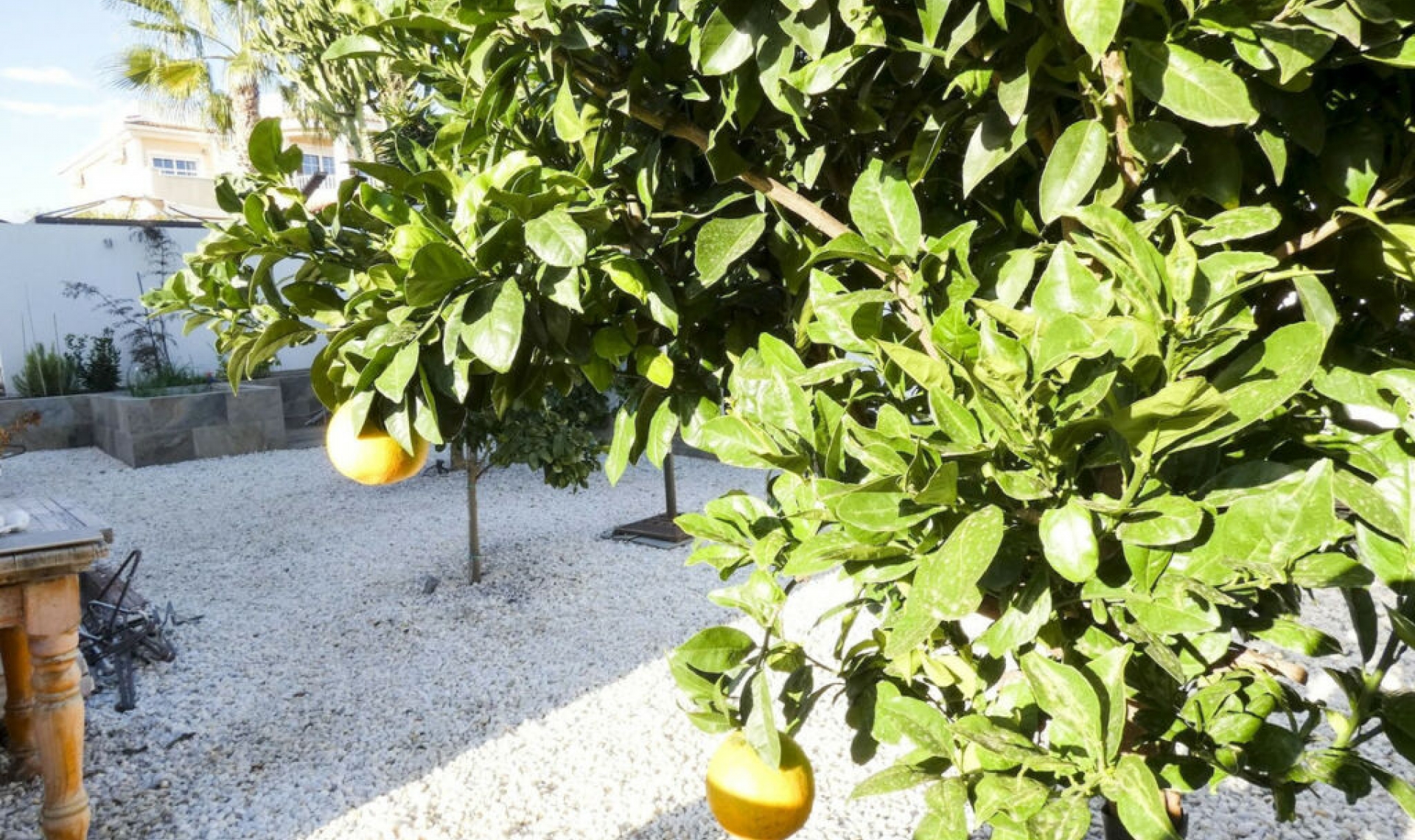 Resale - House -
Ciudad Quesada