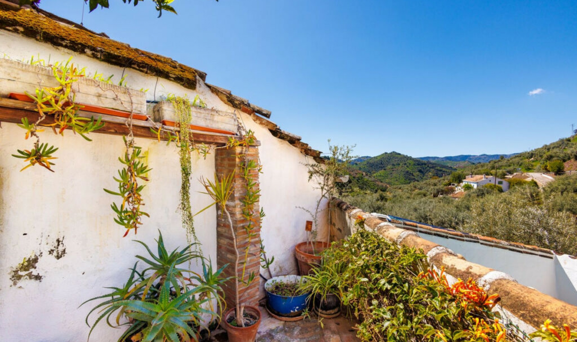 Resale - House -
Comares