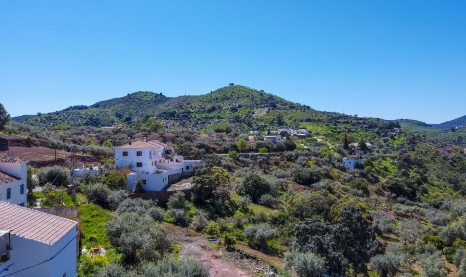 Resale - House -
Comares