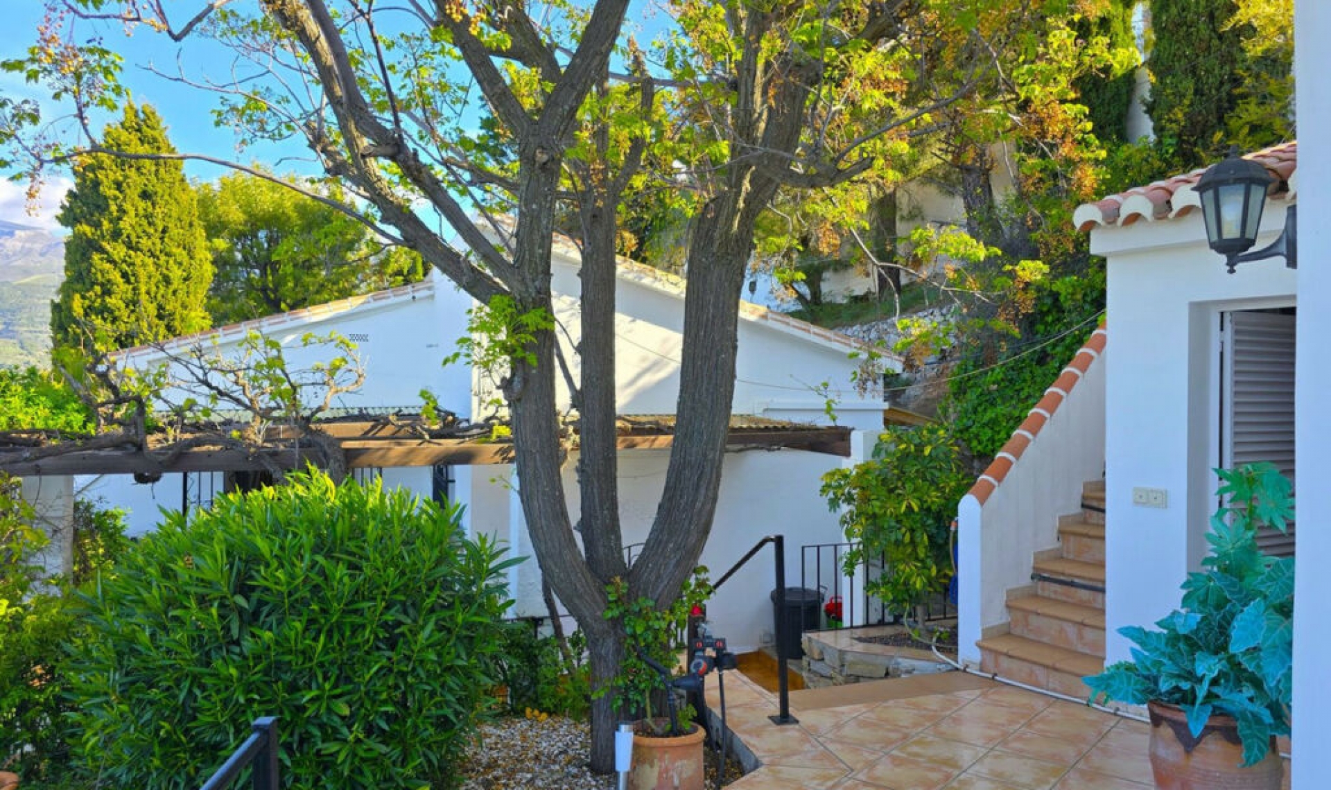 Resale - House -
Cómpeta