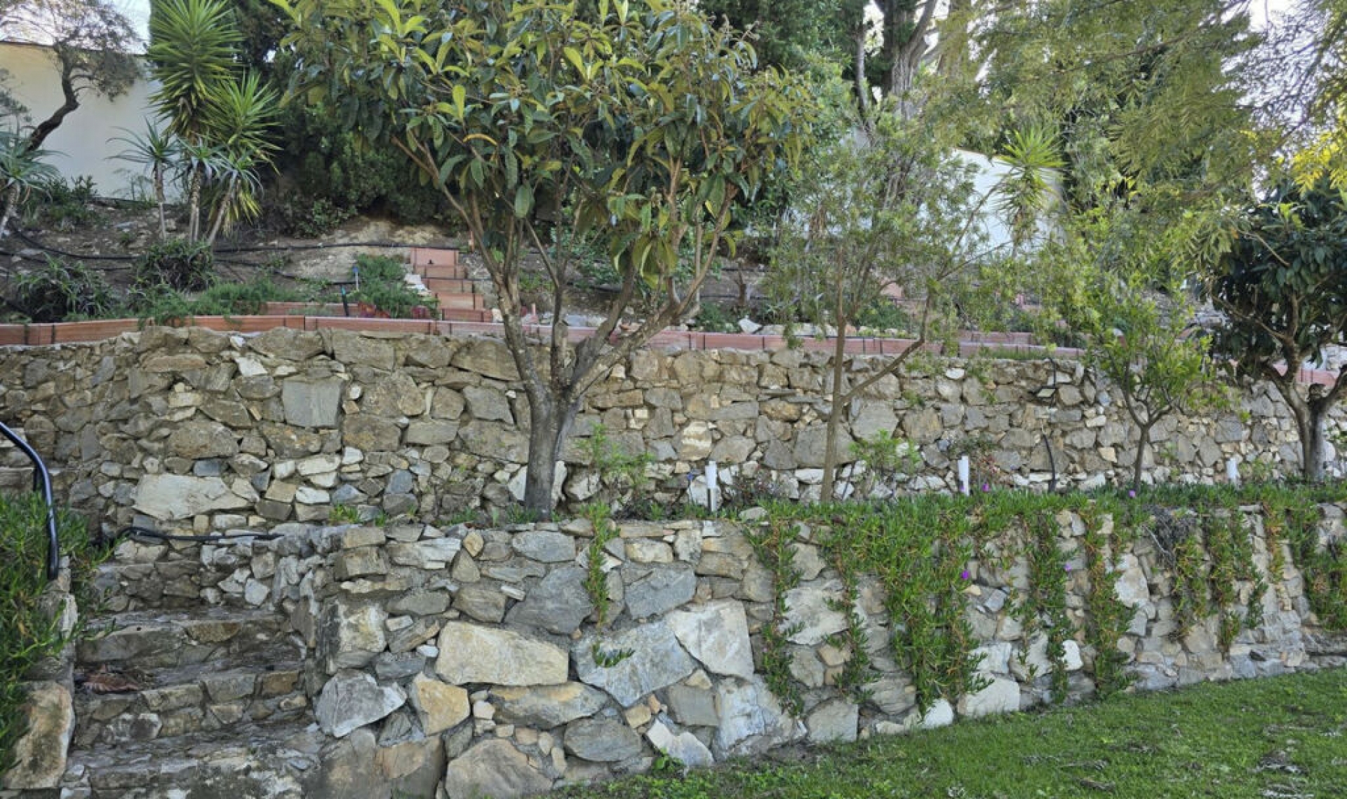 Resale - House -
Cómpeta