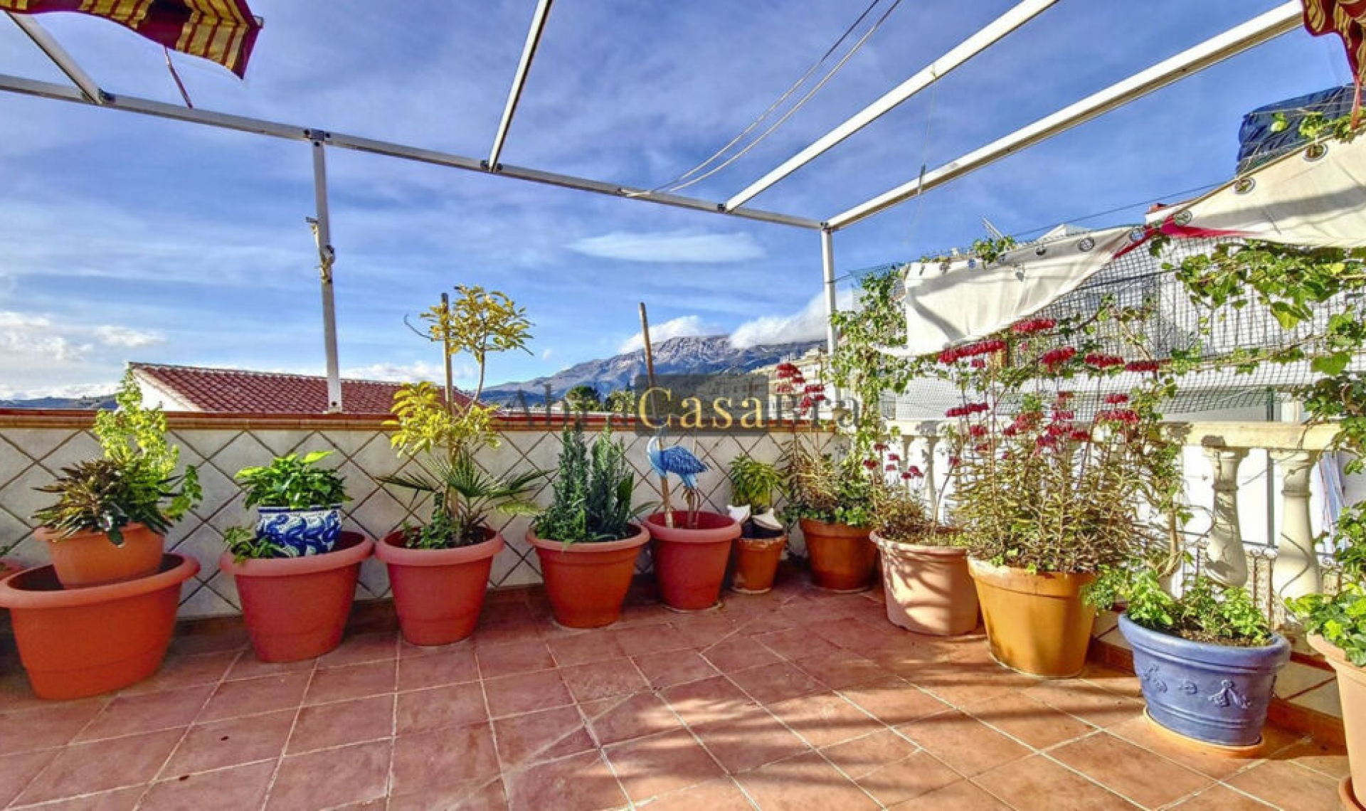 Resale - House -
Cómpeta
