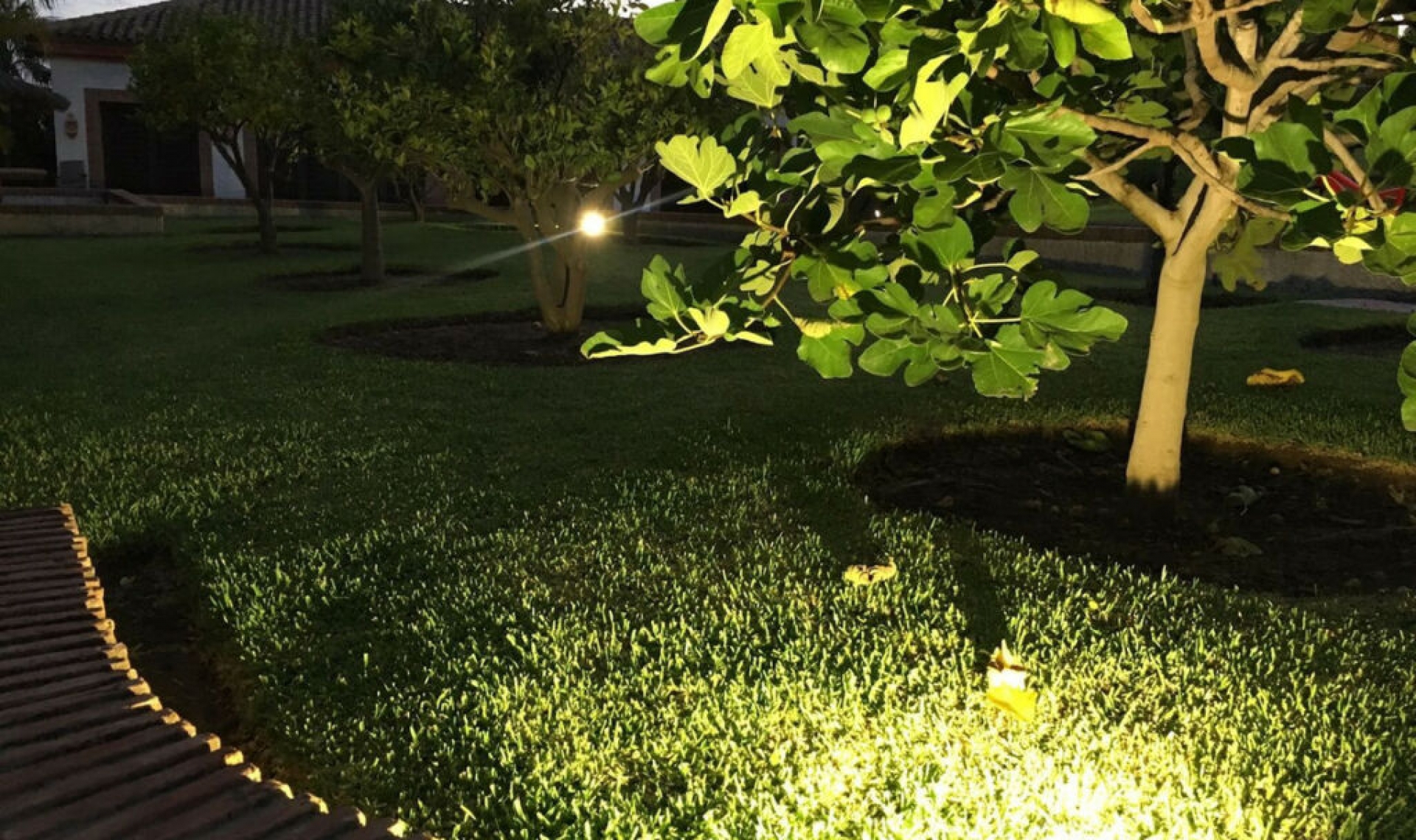 Resale - House -
Costabella