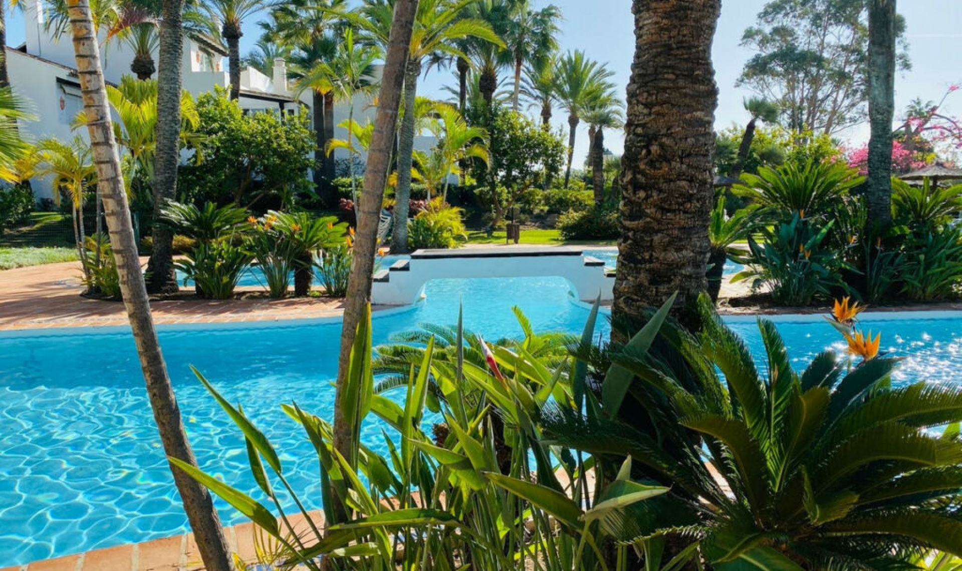 Resale - House -
Costalita