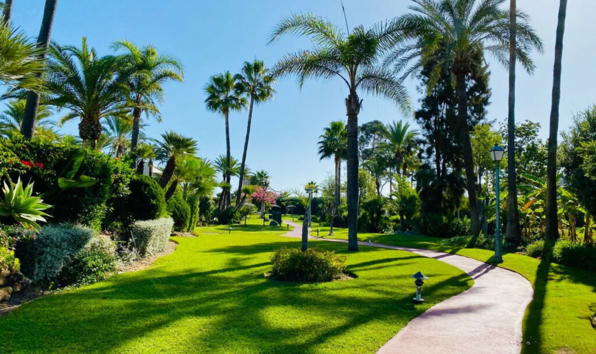 Resale - House -
Costalita