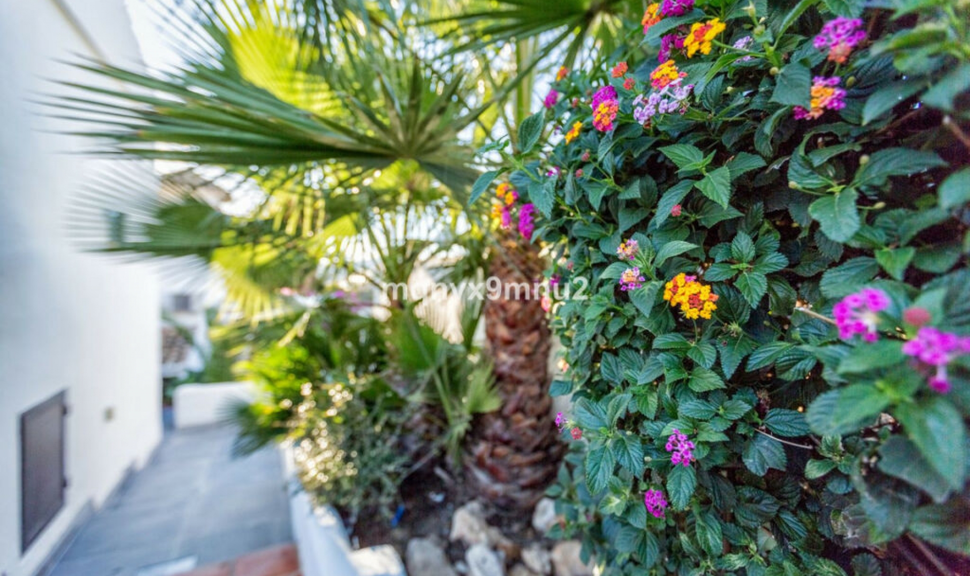 Resale - House -
El Chaparral