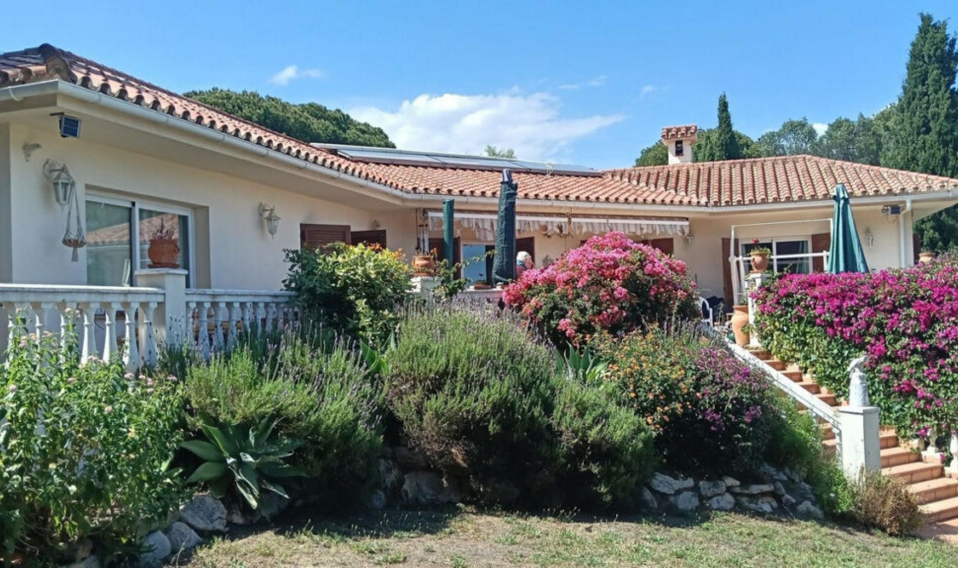 Resale - House -
El Chaparral