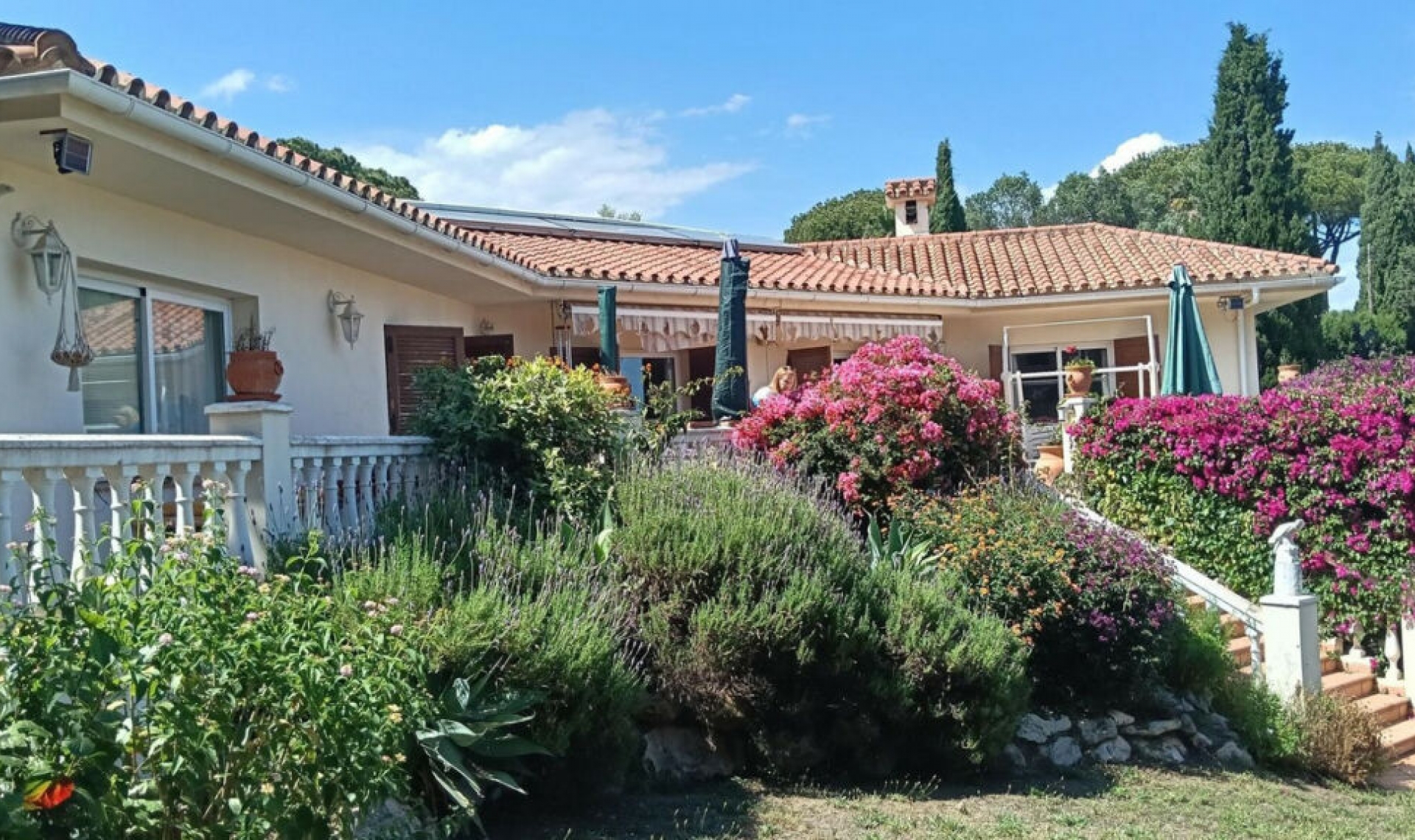 Resale - House -
El Chaparral