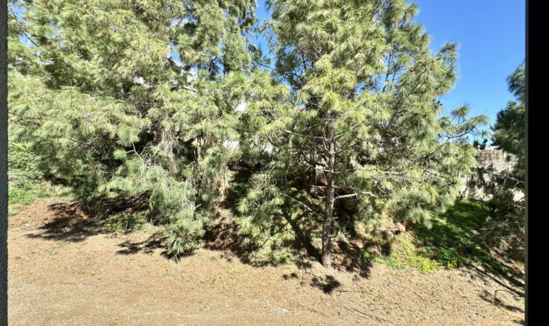 Resale - House -
El Chaparral