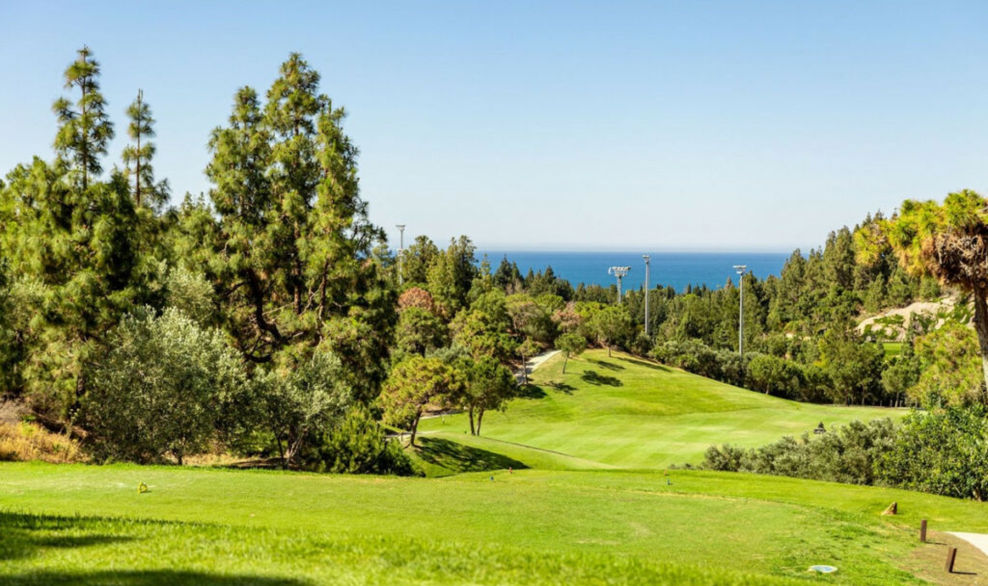 Resale - House -
El Chaparral