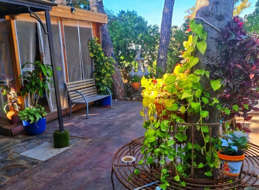 Resale - House -
El Faro