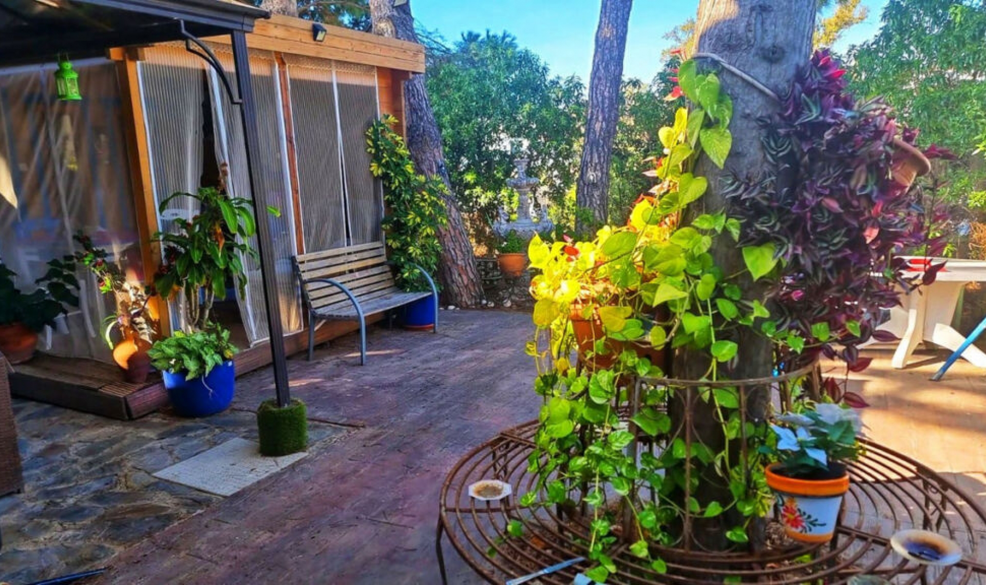 Resale - House -
El Faro