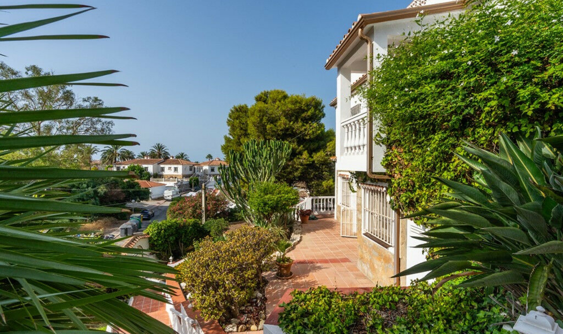 Resale - House -
El Faro