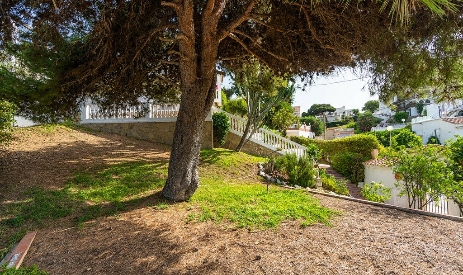 Resale - House -
El Faro