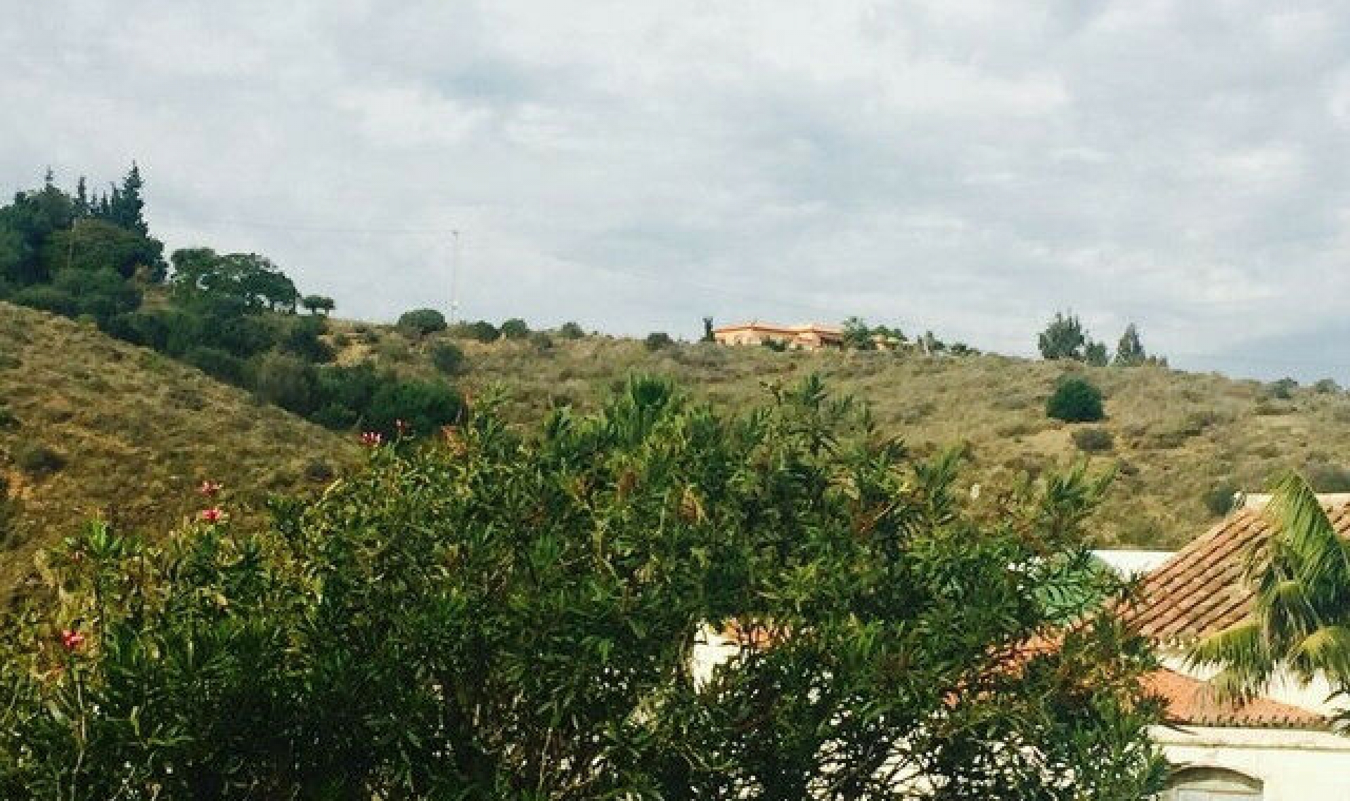 Resale - House -
El Morche