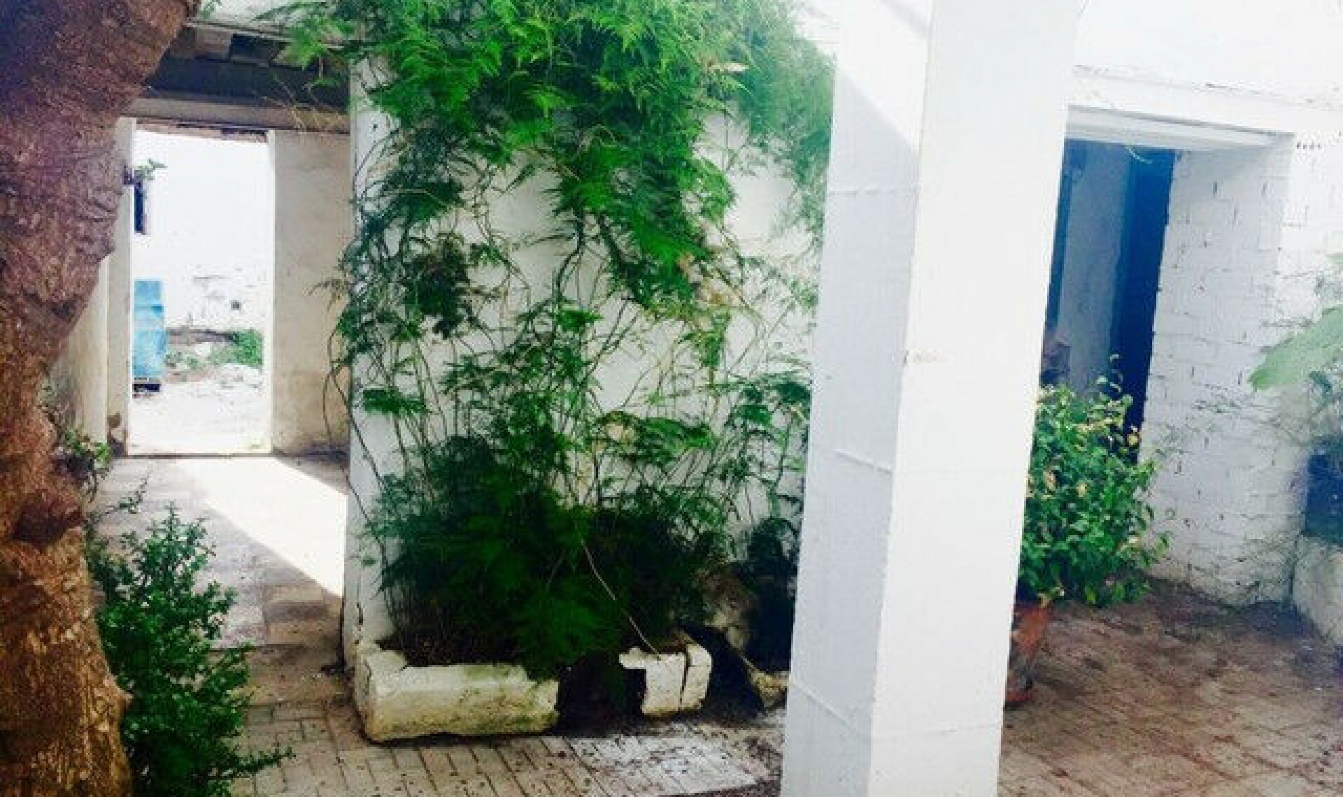 Resale - House -
El Morche