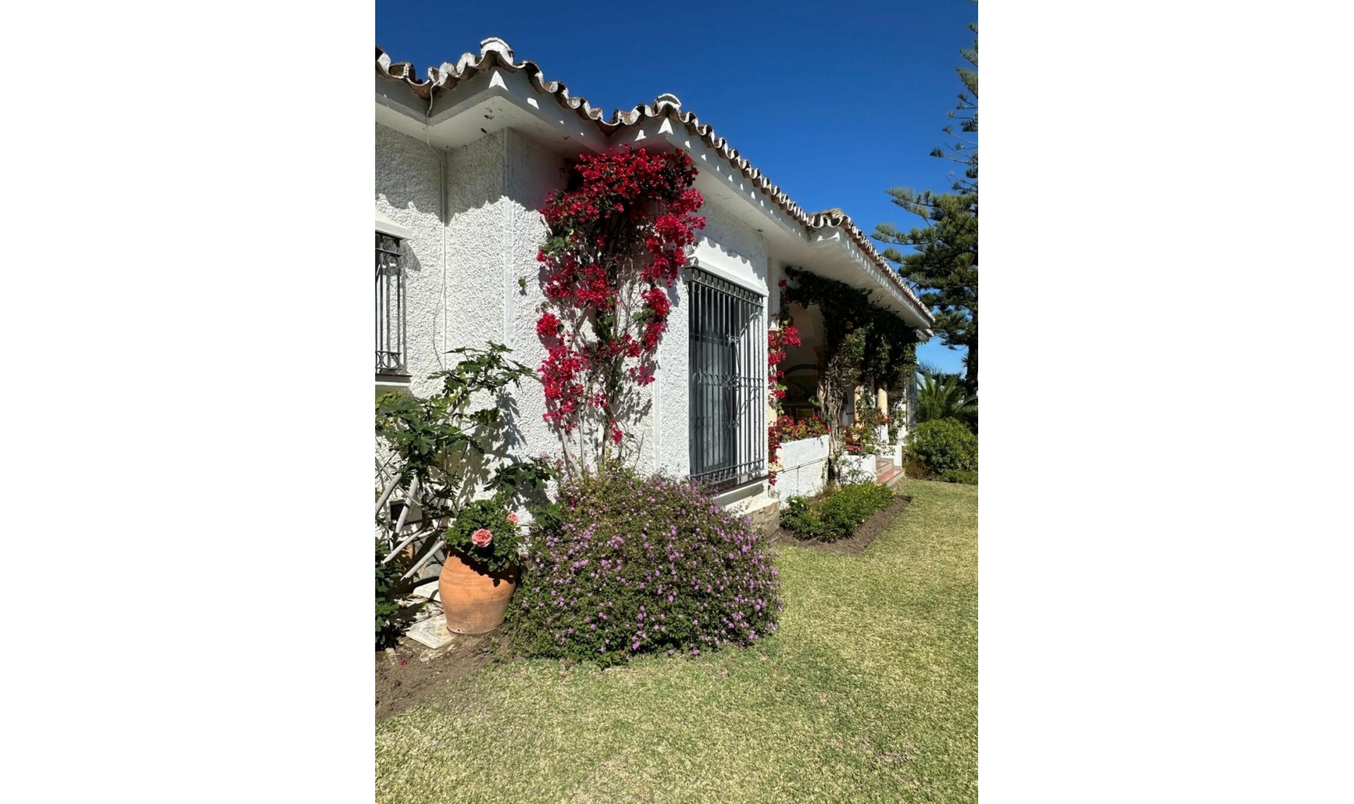 Resale - House -
El Paraiso