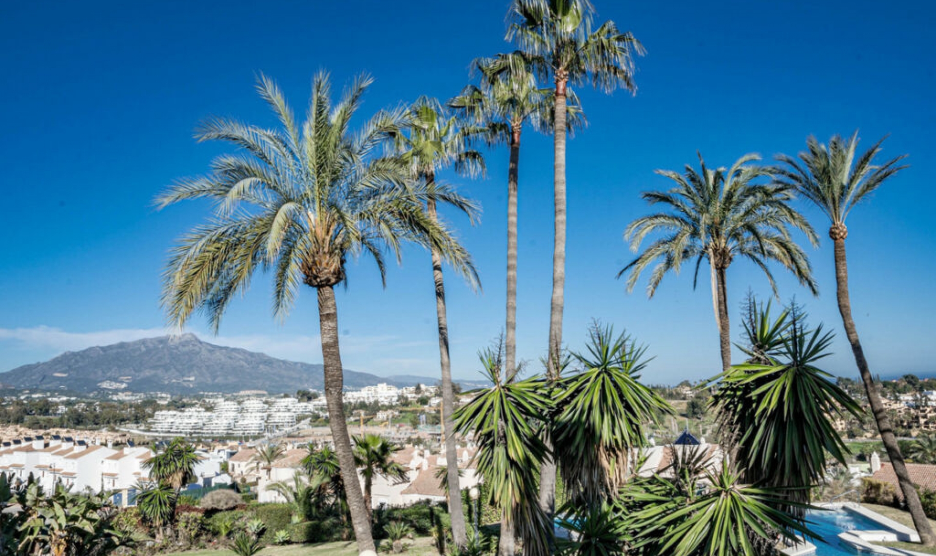 Resale - House -
El Paraiso