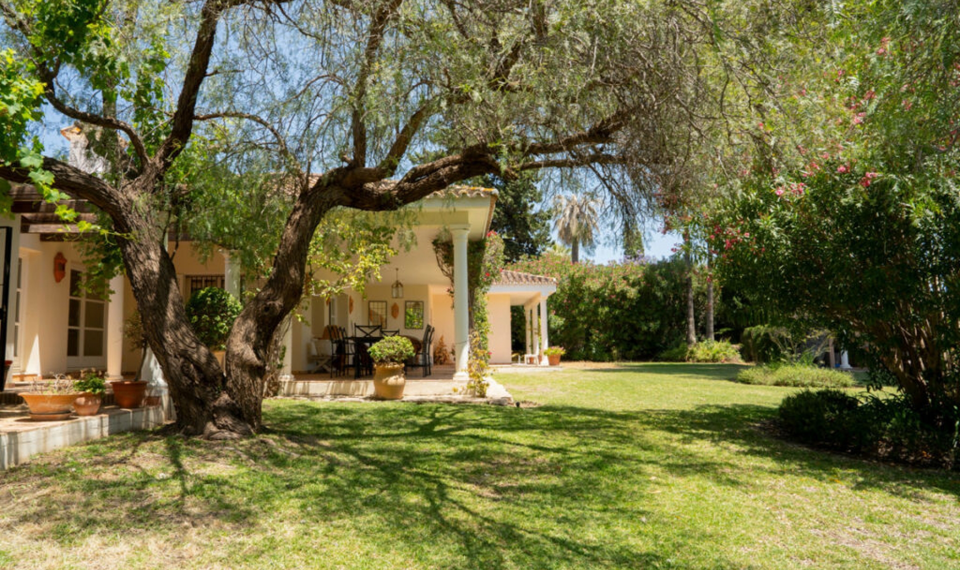 Resale - House -
El Paraiso