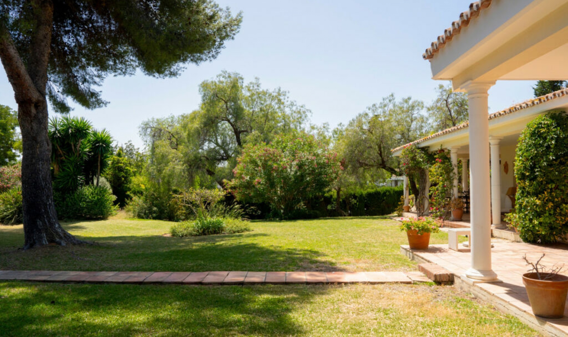 Resale - House -
El Paraiso