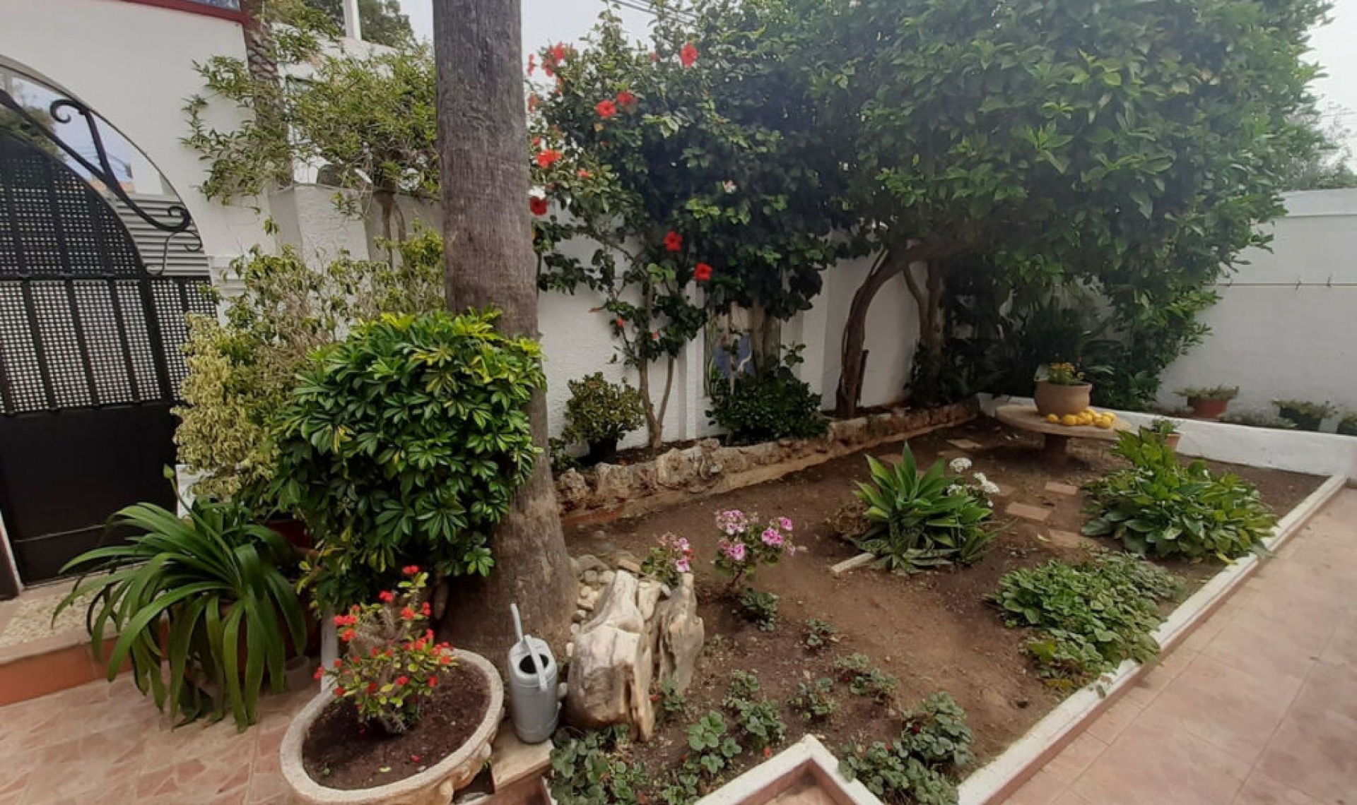 Resale - House -
El Rosario