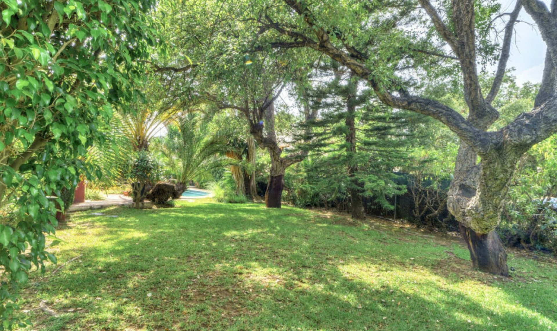 Resale - House -
El Rosario