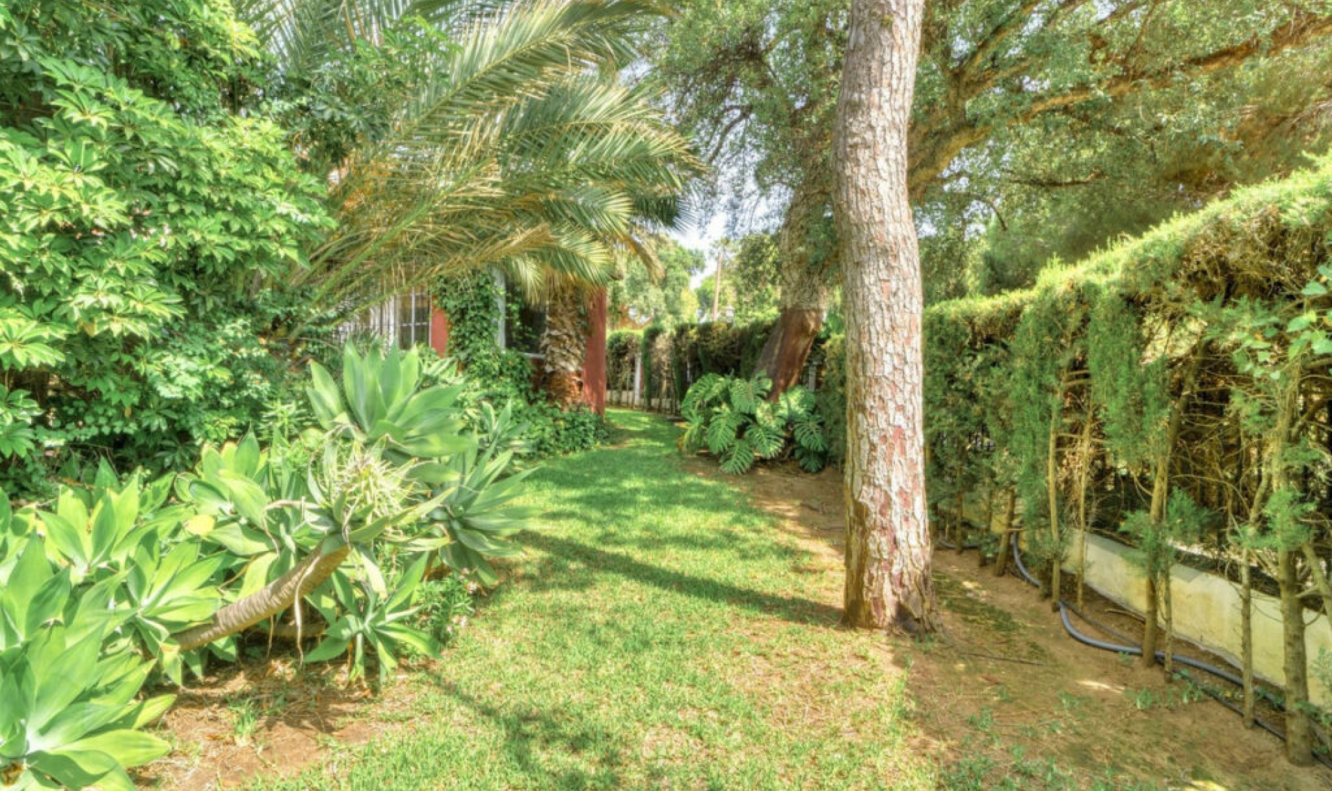 Resale - House -
El Rosario