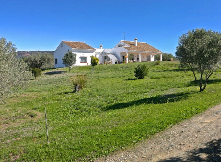 Resale - House -
Elviria