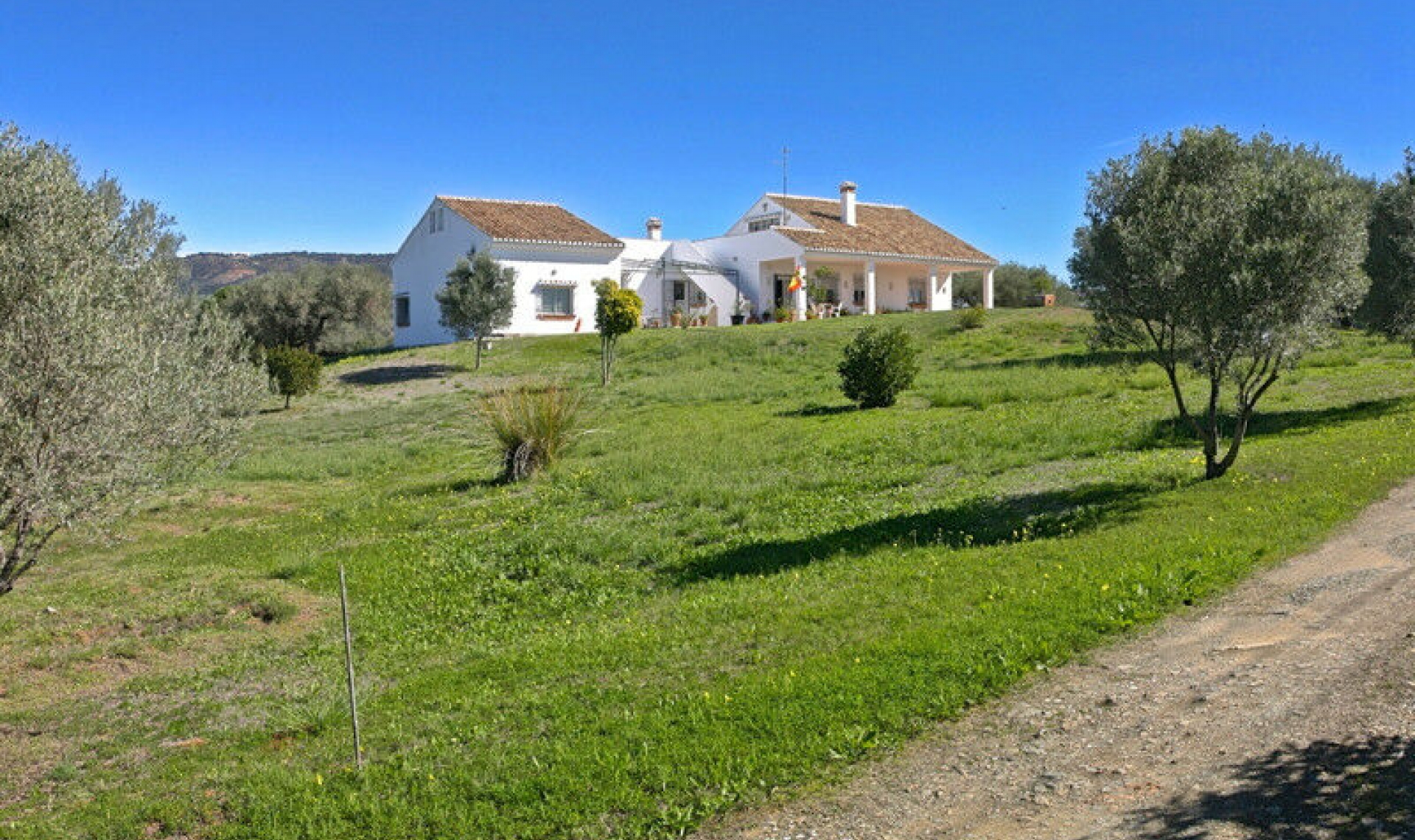 Resale - House -
Elviria