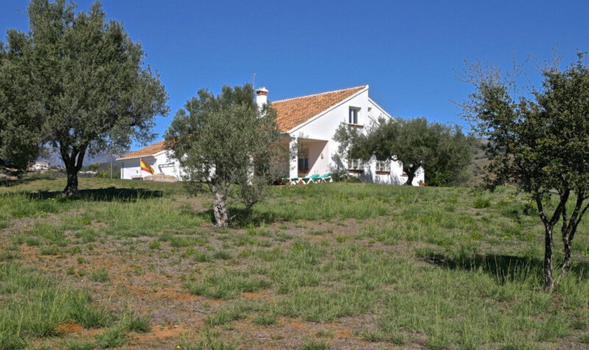 Resale - House -
Elviria