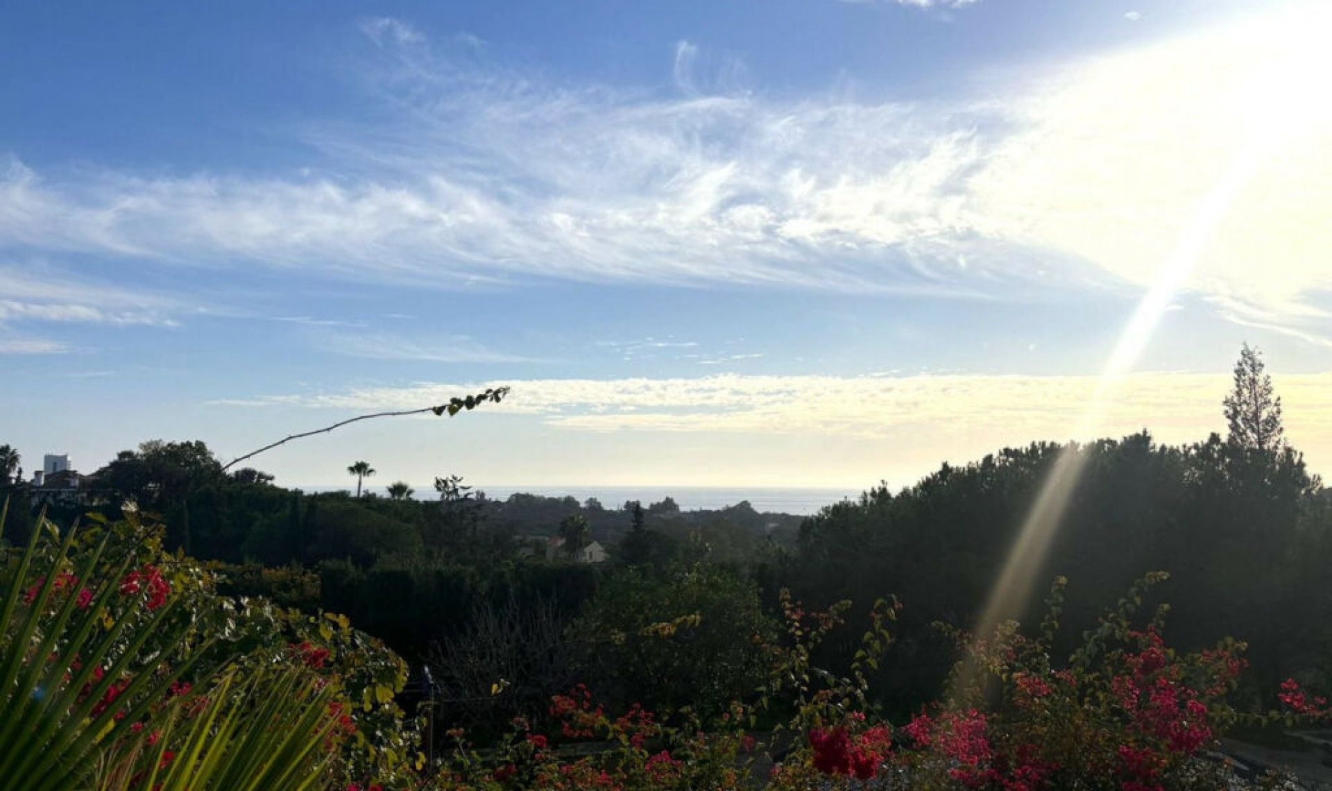 Resale - House -
Elviria