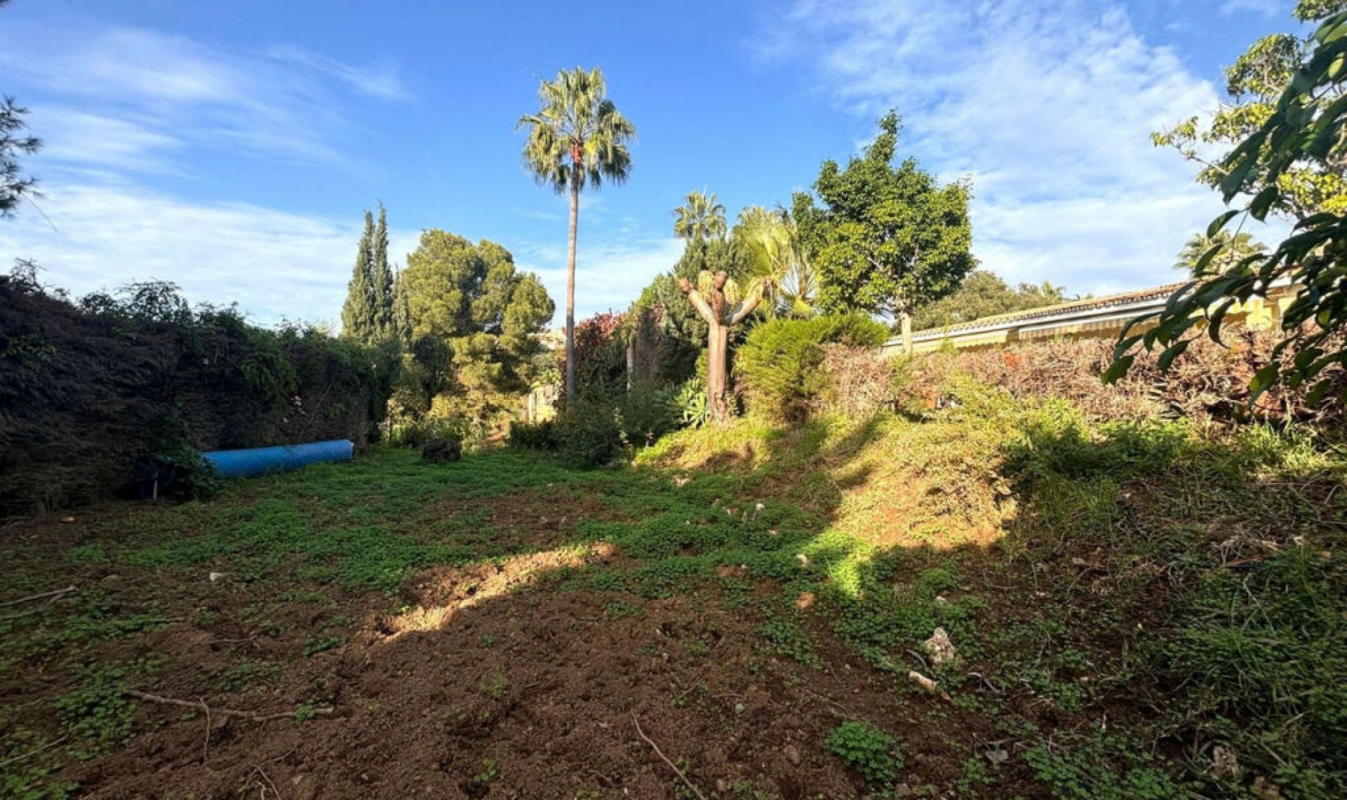 Resale - House -
Elviria