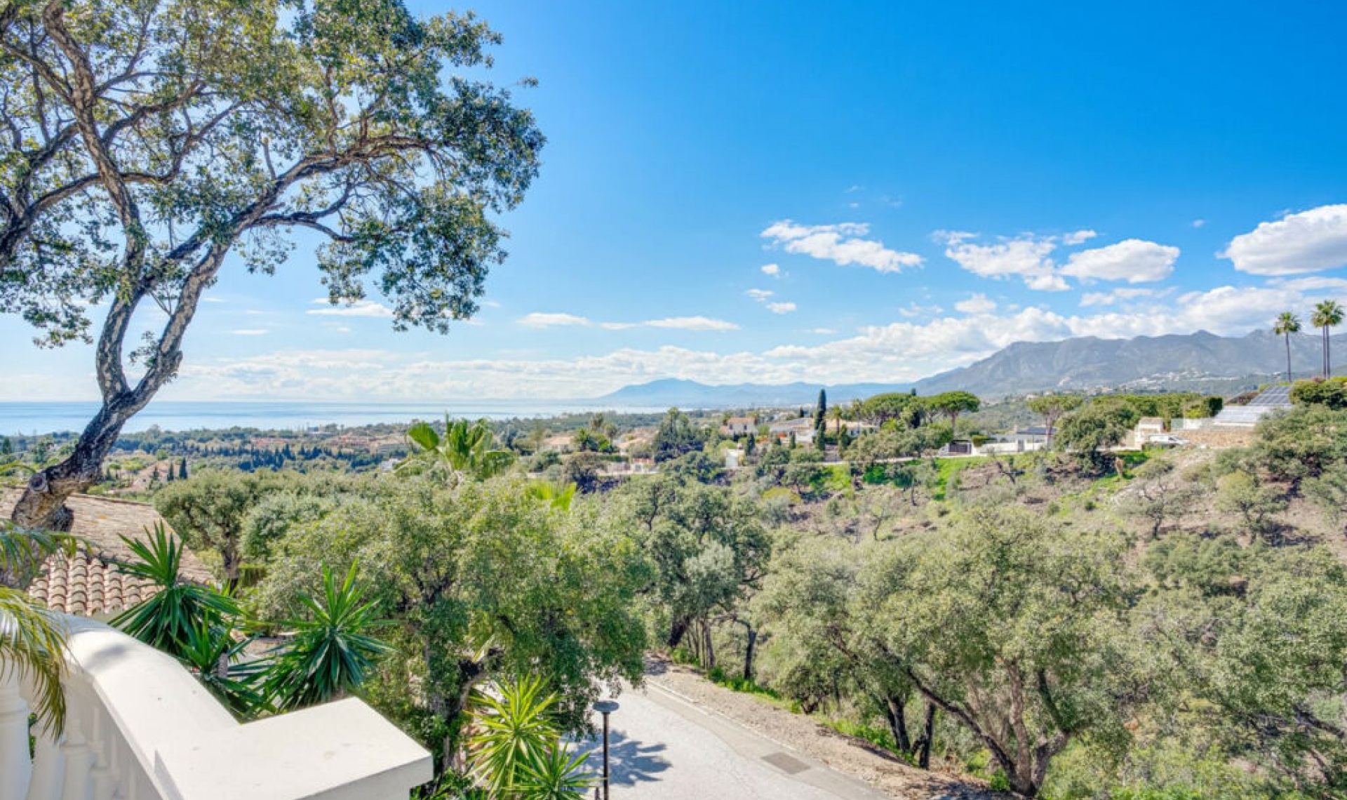 Resale - House -
Elviria