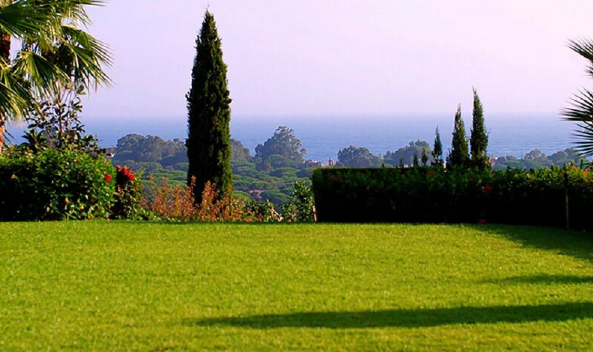 Resale - House -
Elviria