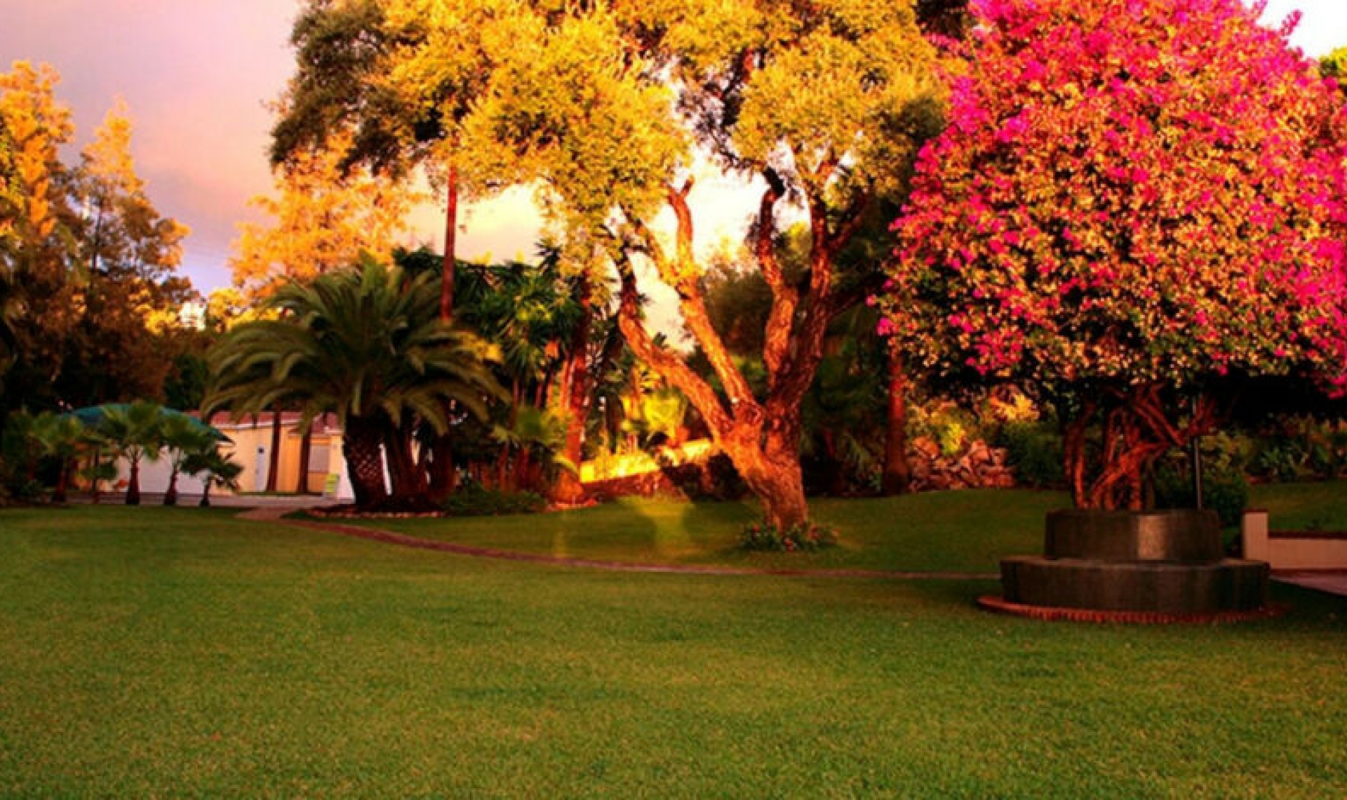 Resale - House -
Elviria