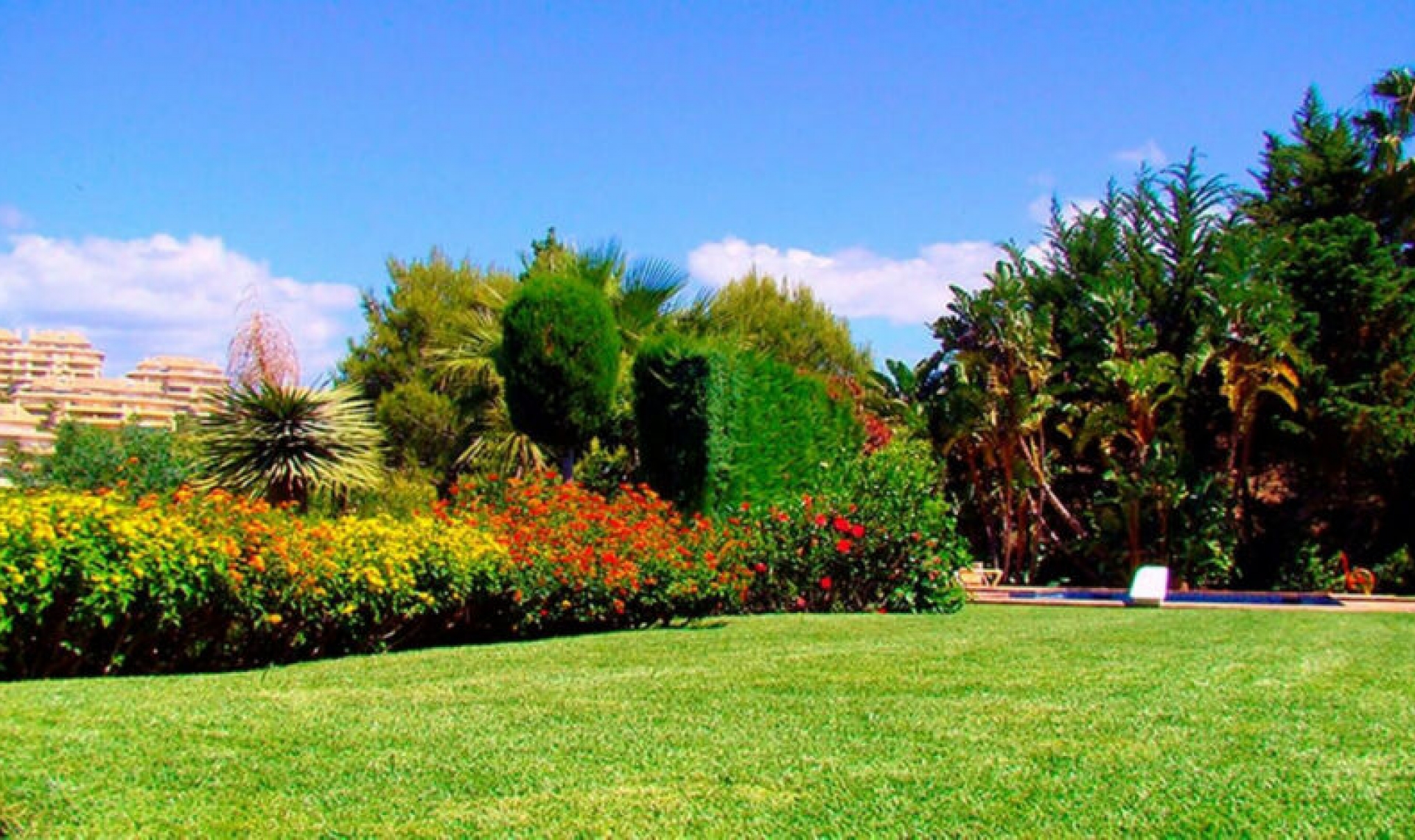 Resale - House -
Elviria