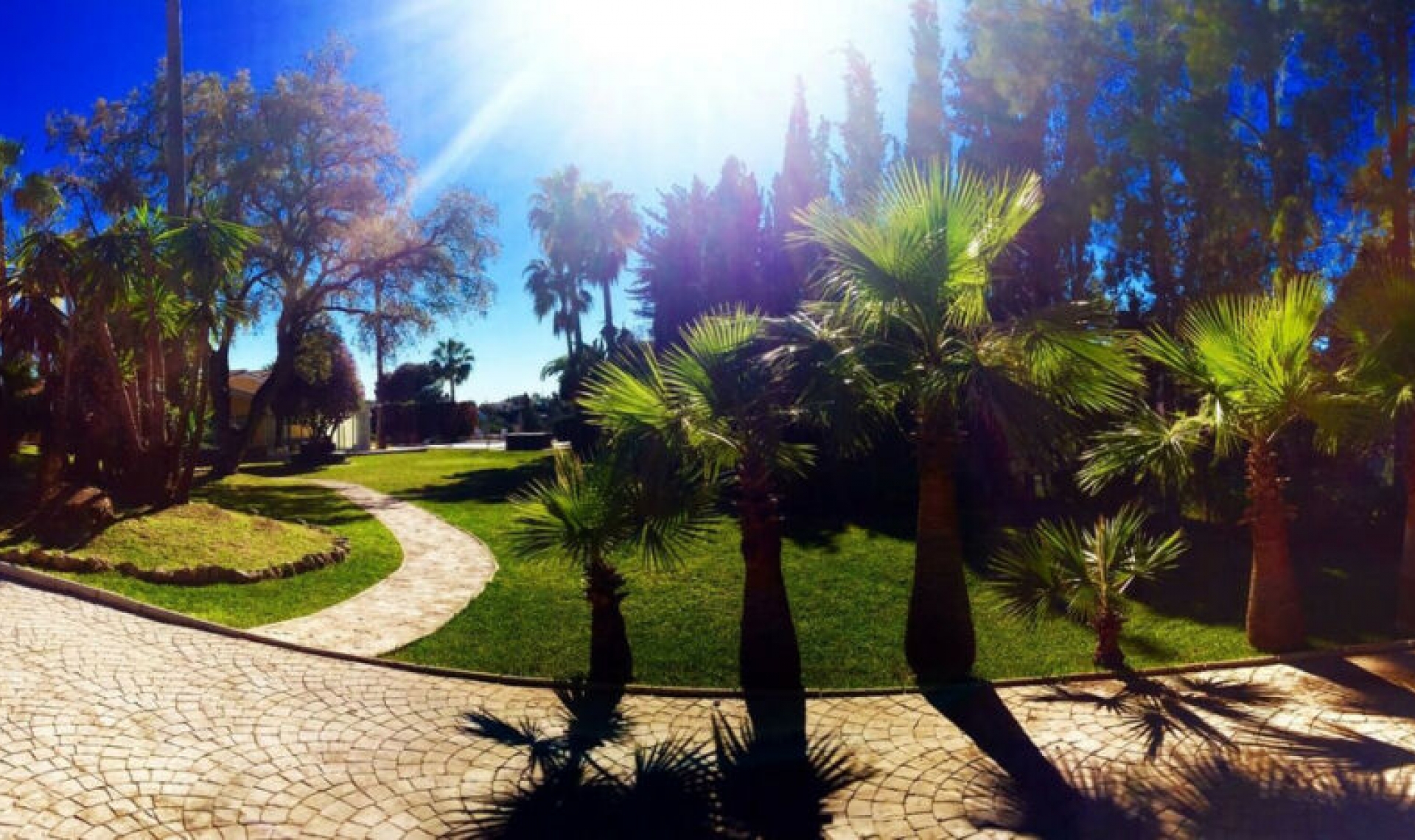 Resale - House -
Elviria