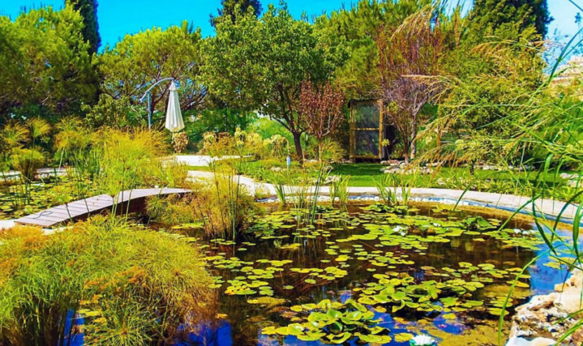 Resale - House -
Elviria