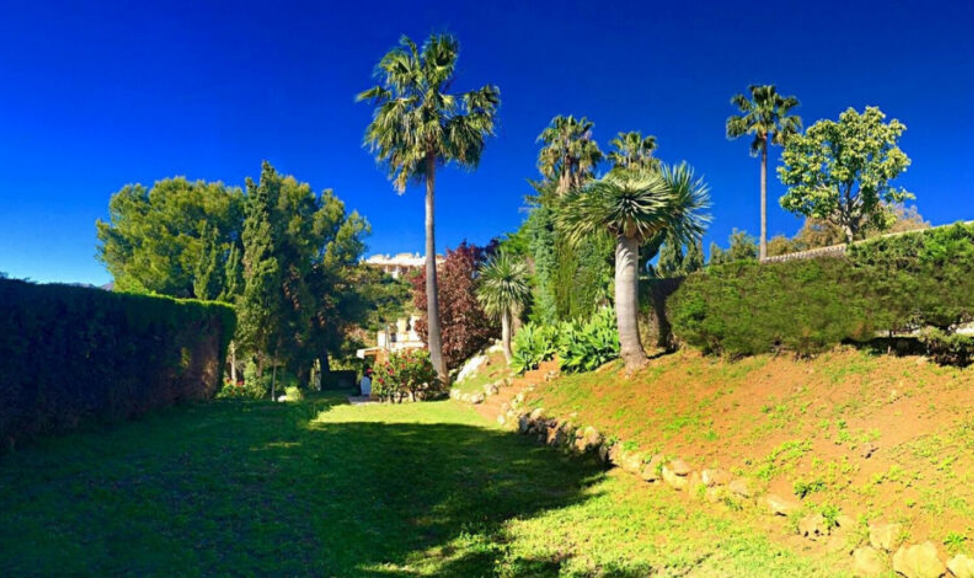 Resale - House -
Elviria