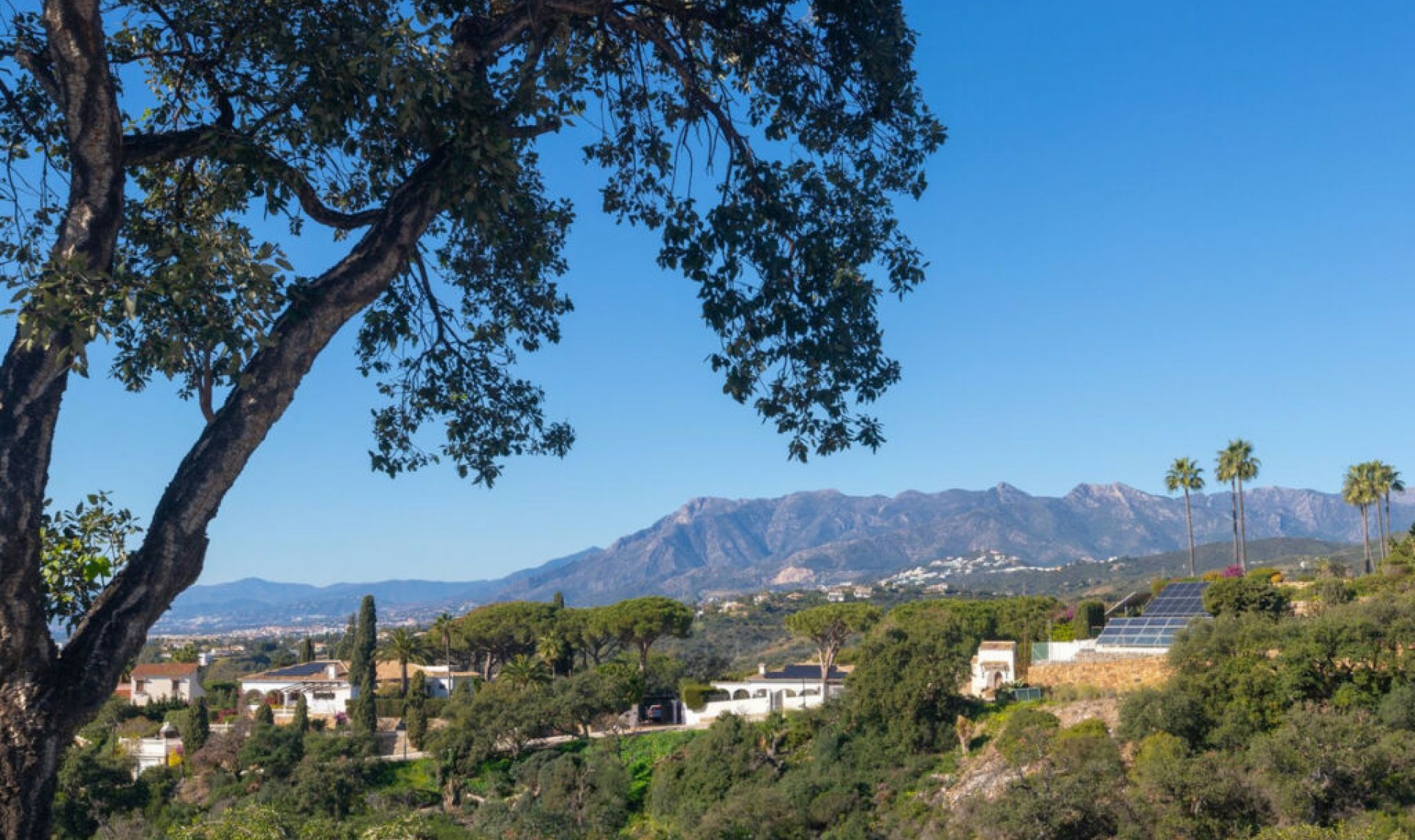 Resale - House -
Elviria