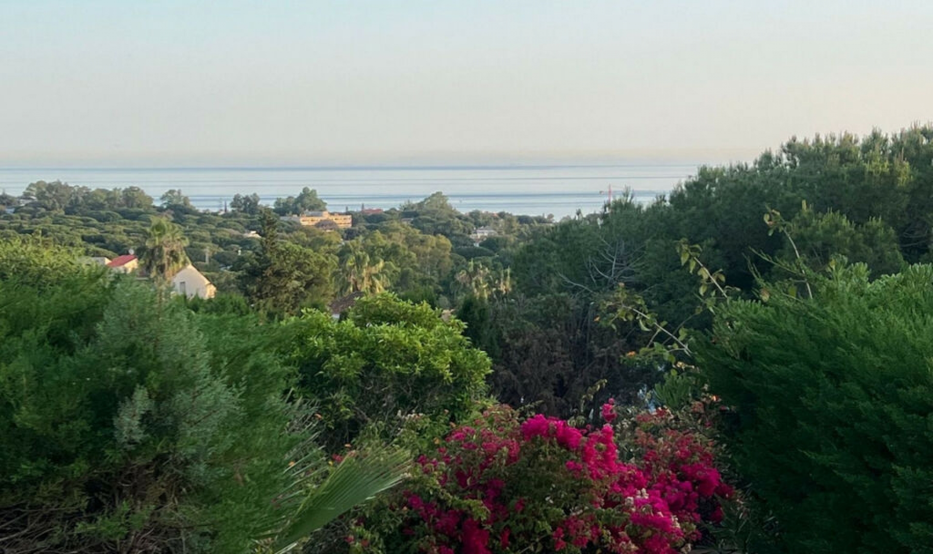 Resale - House -
Elviria