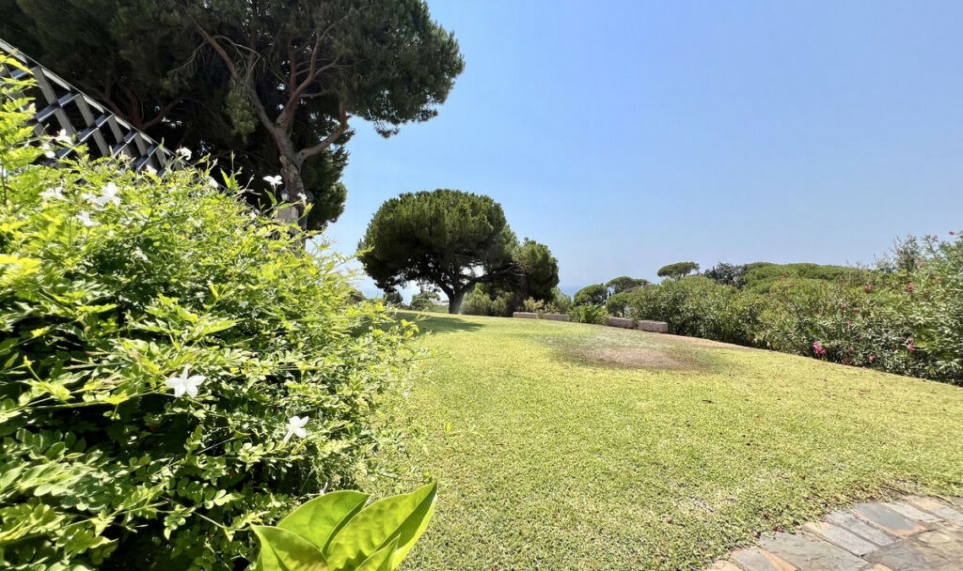 Resale - House -
Elviria