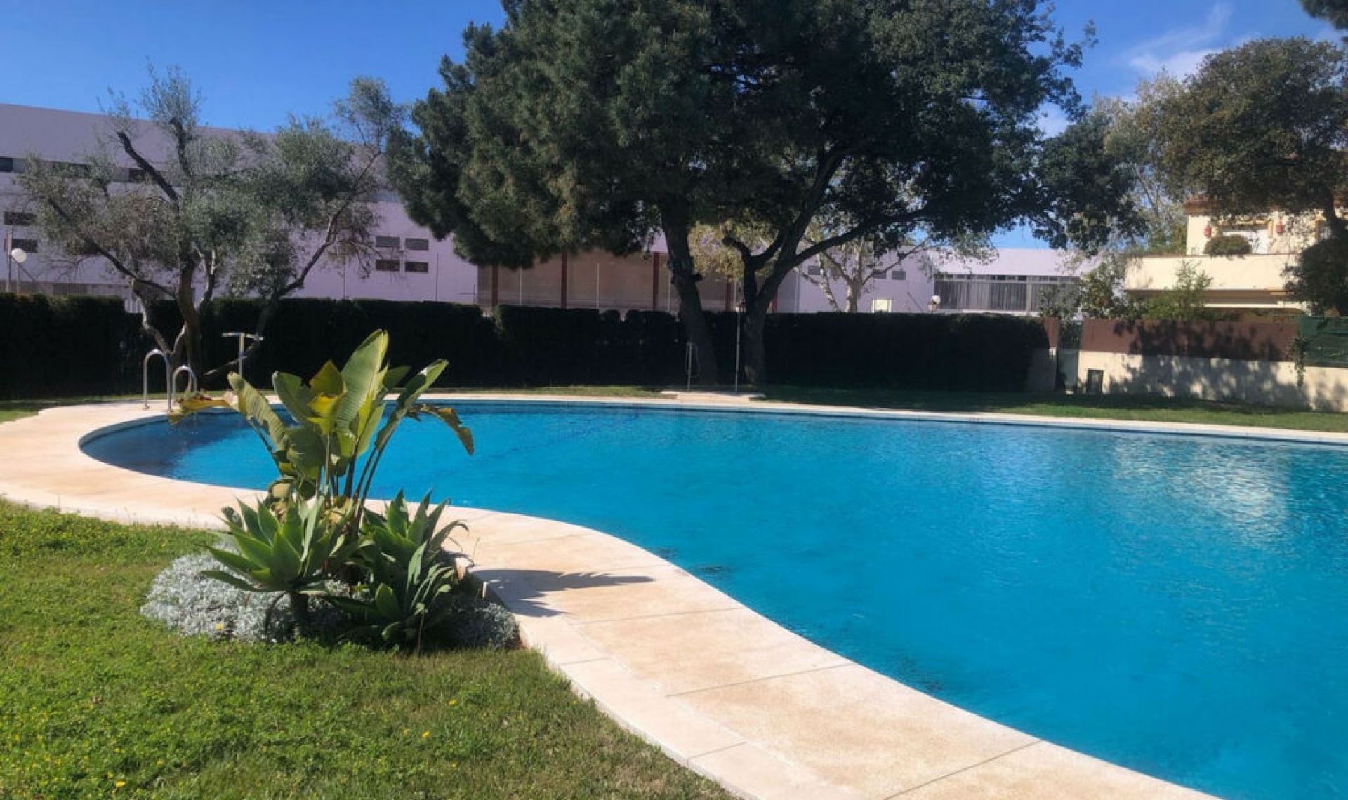 Resale - House -
Elviria