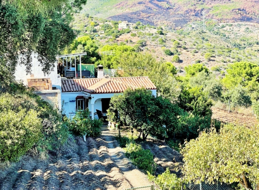 Resale - House -
Estepona