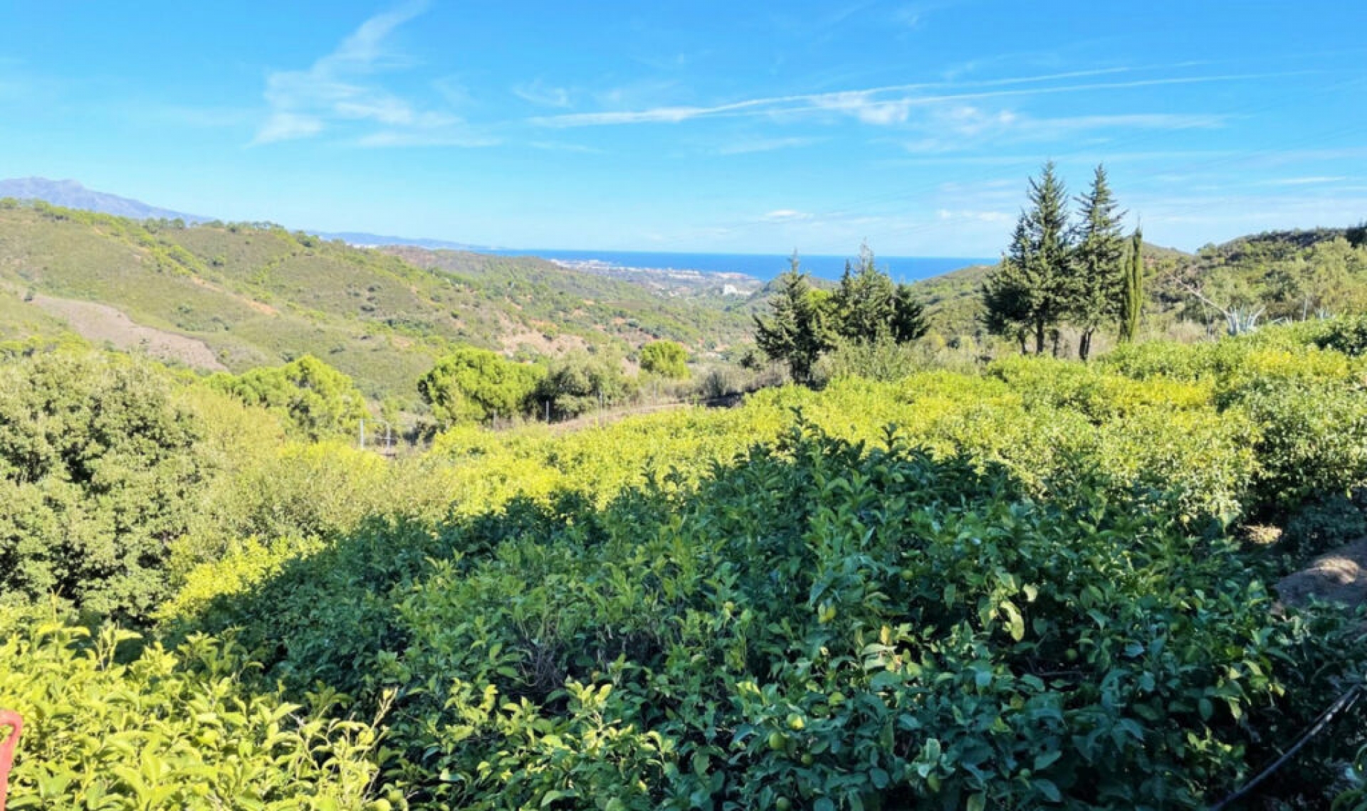 Resale - House -
Estepona