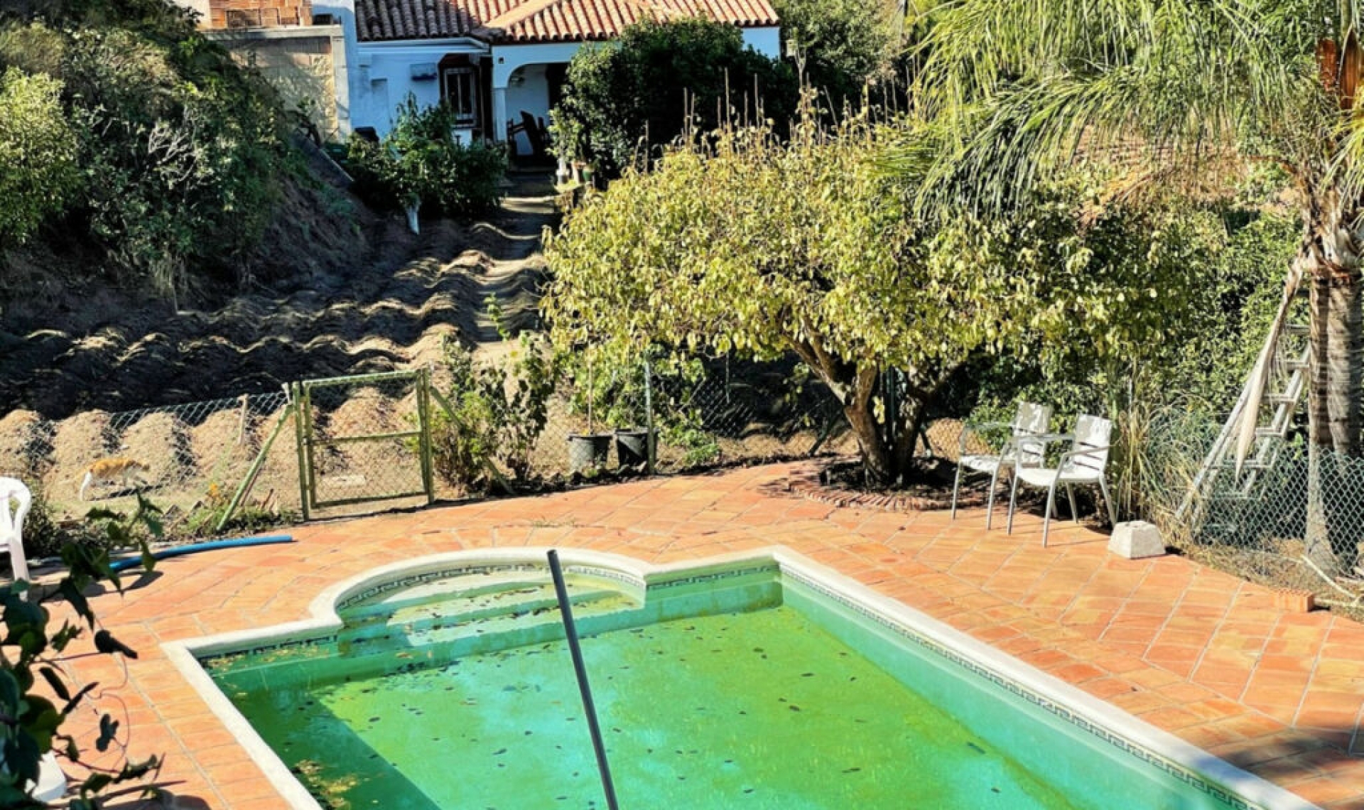Resale - House -
Estepona