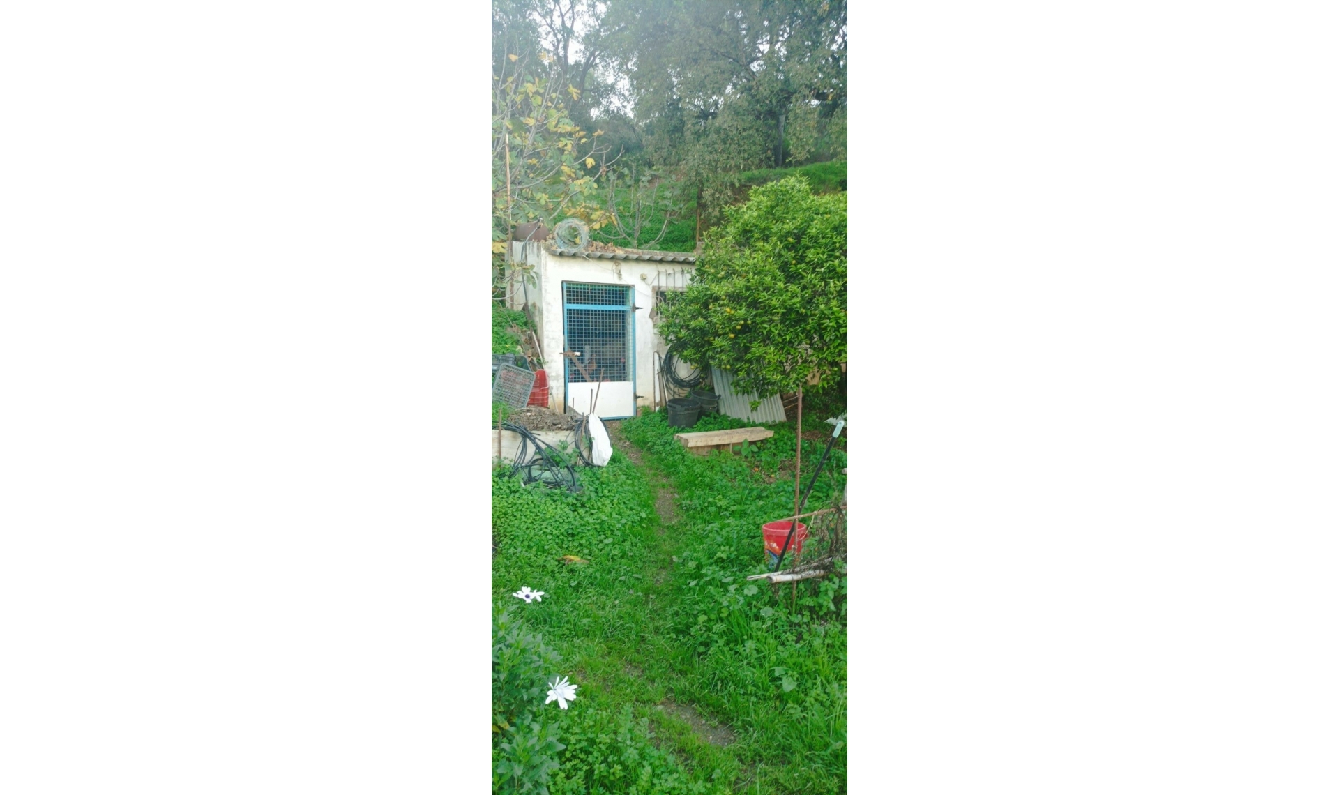 Resale - House -
Estepona