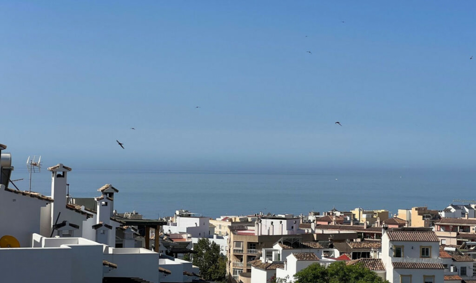 Resale - House -
Estepona